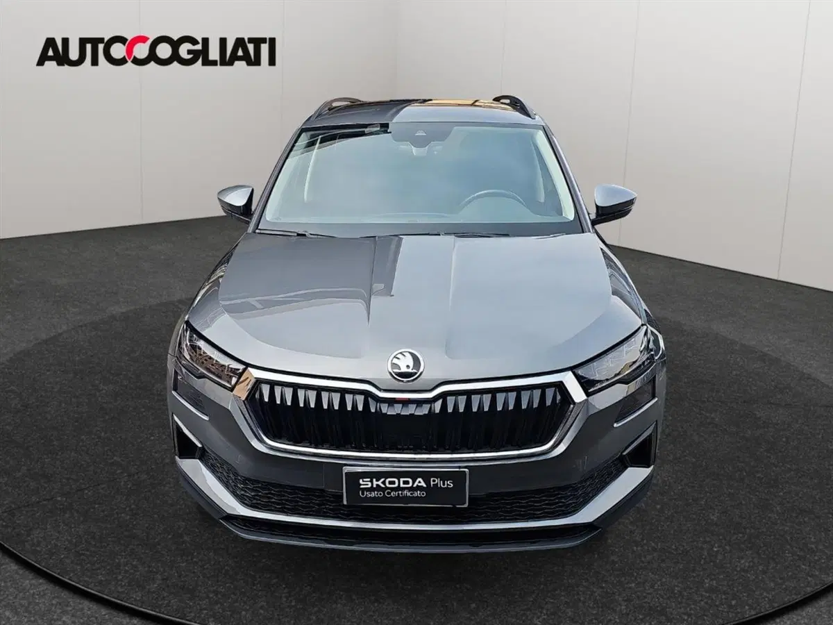 Skoda Karoq usata a Lecco (2)