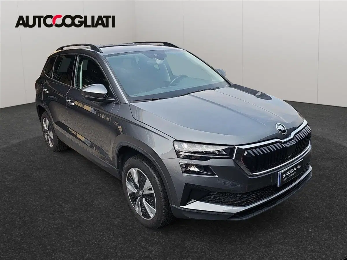 Skoda Karoq usata a Lecco (3)