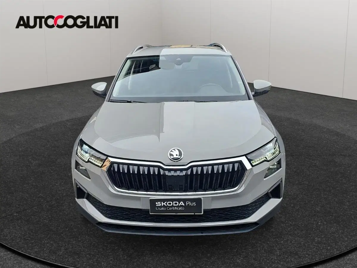 Skoda Karoq usata a Lecco (2)