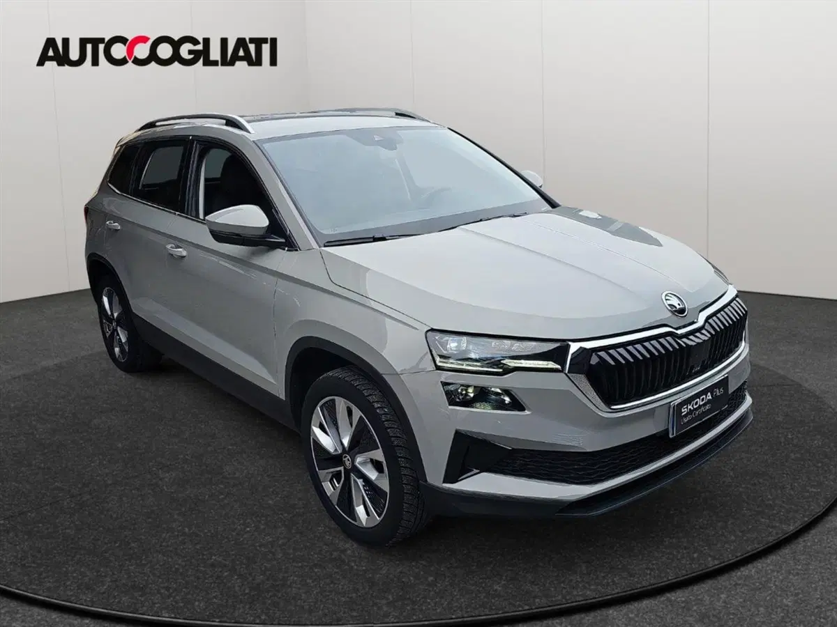 Skoda Karoq usata a Lecco (3)