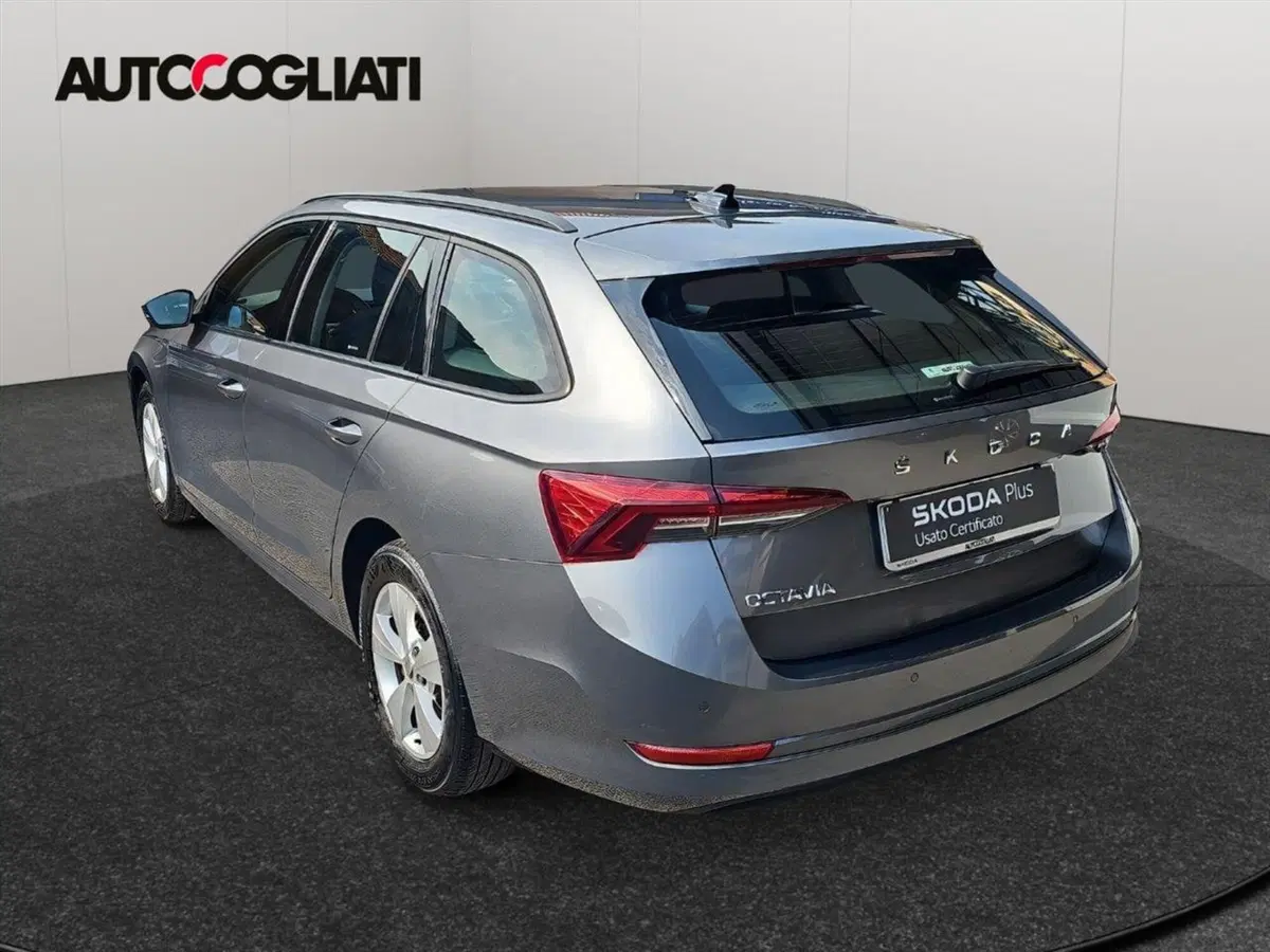 Skoda Octavia Station Wagon usata a Lecco (5)