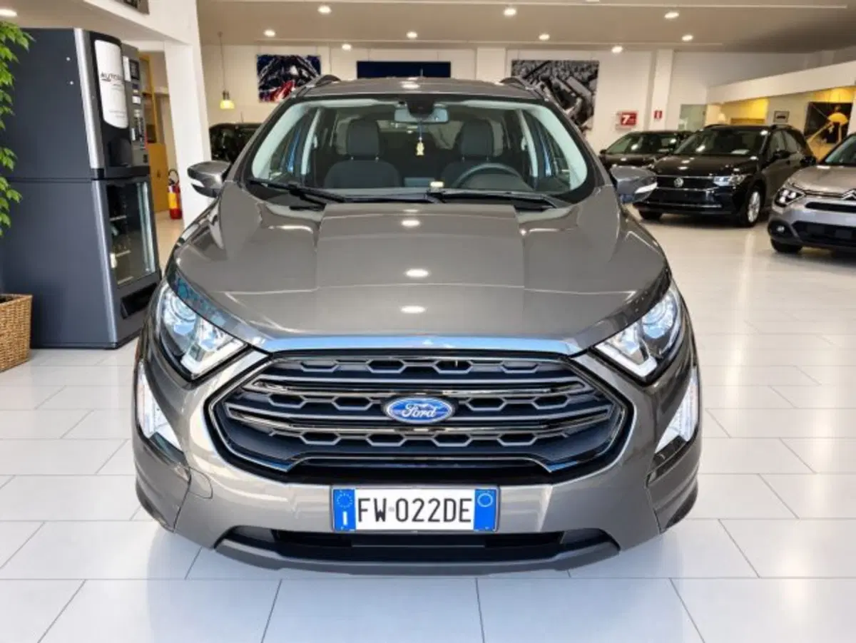 Ford EcoSport usata a Firenze (2)