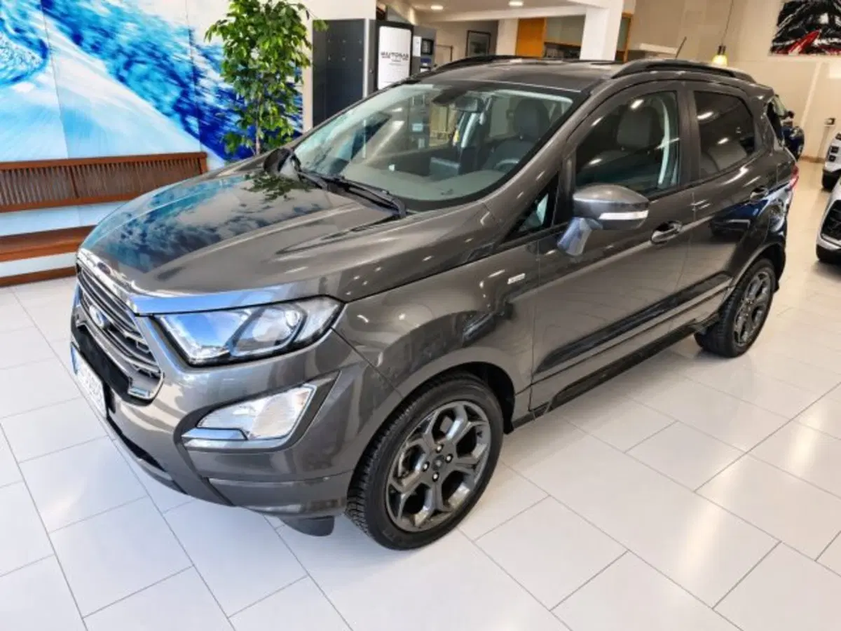 Ford EcoSport usata a Firenze (3)