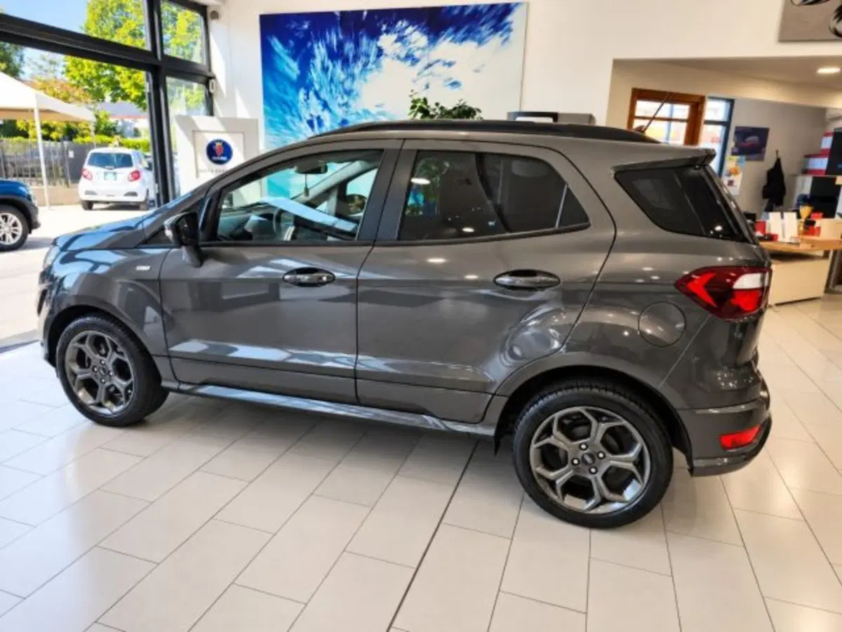 Ford EcoSport usata a Firenze (6)