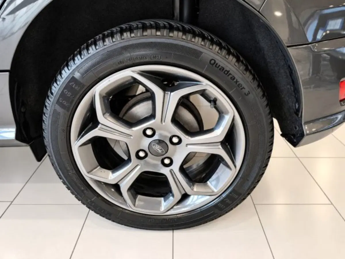 Ford EcoSport usata a Firenze (7)