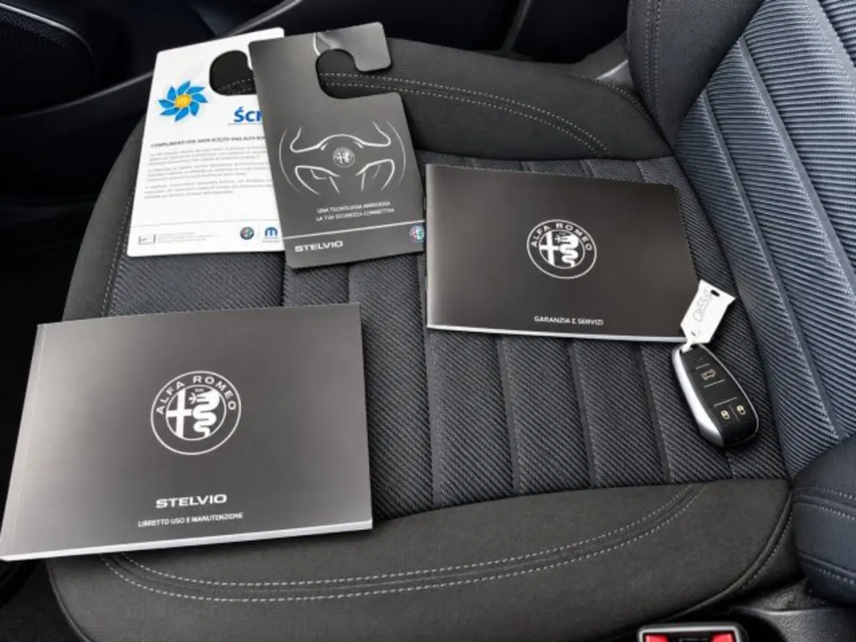 Alfa Romeo Stelvio usata a Firenze (15)