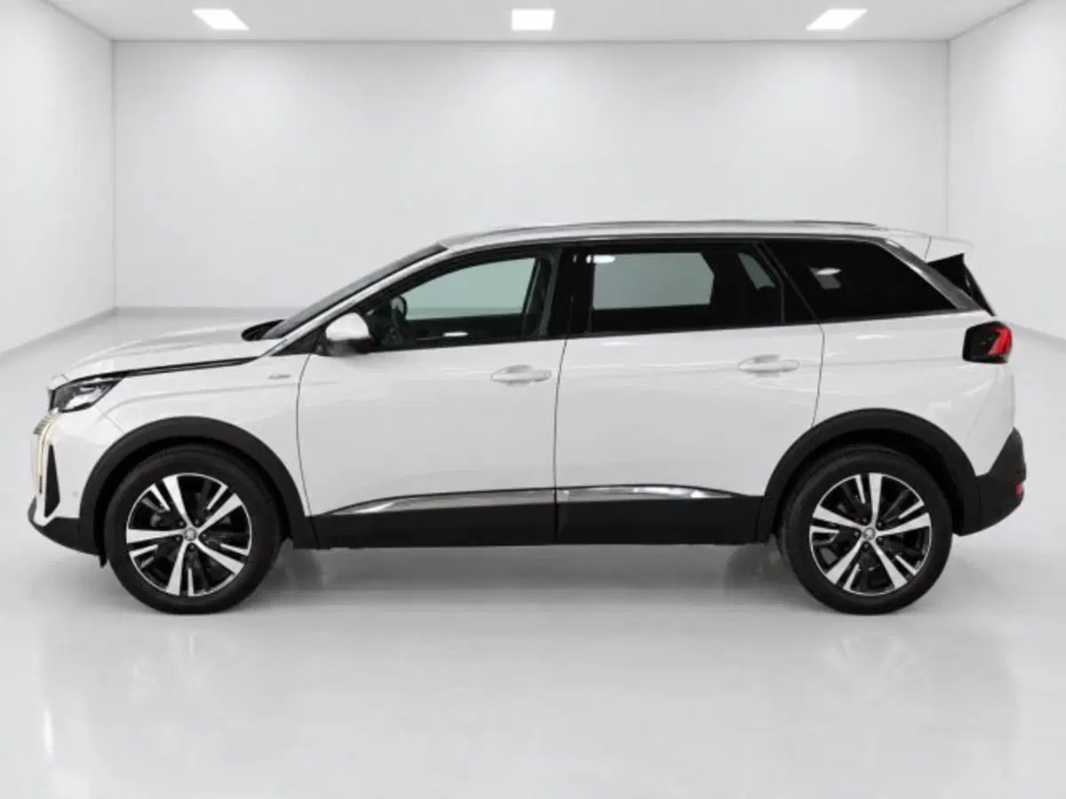Peugeot 5008 usata a Firenze (2)