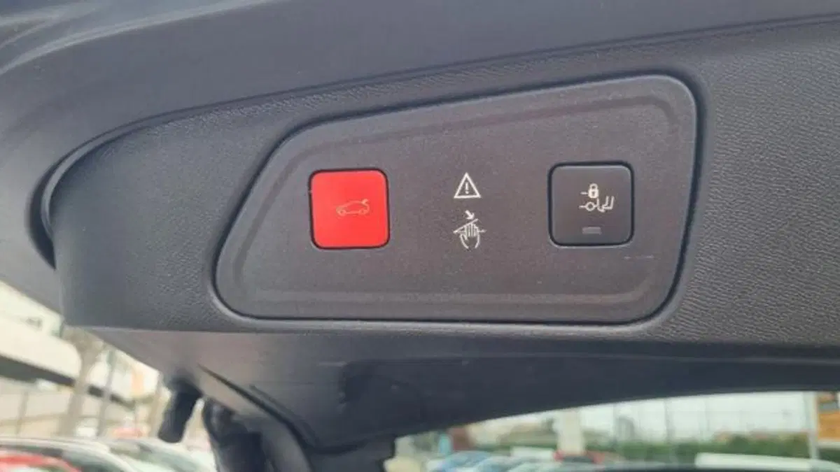Peugeot 3008 usata a Savona (20)