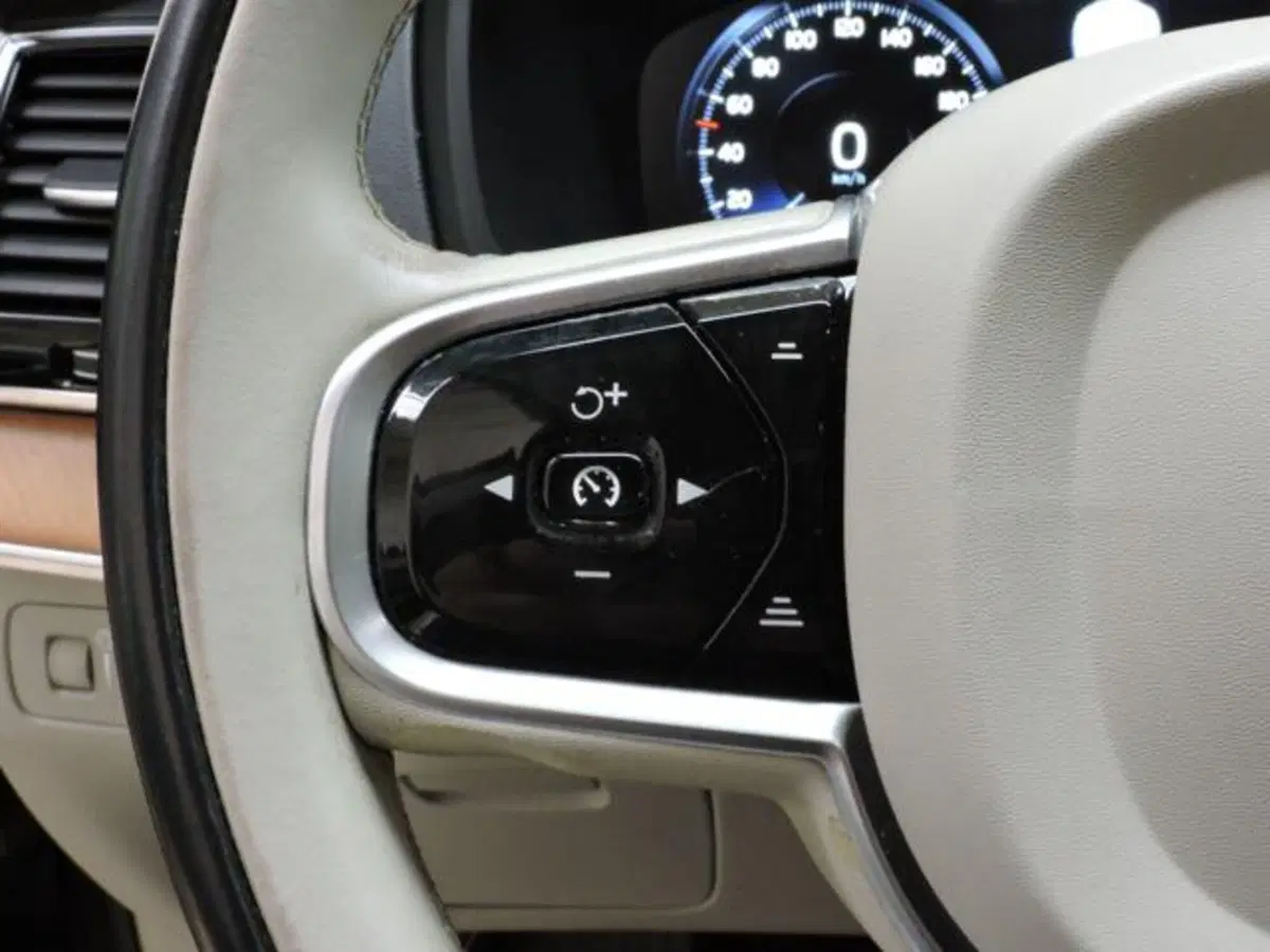 Volvo XC90 usata a Firenze (20)