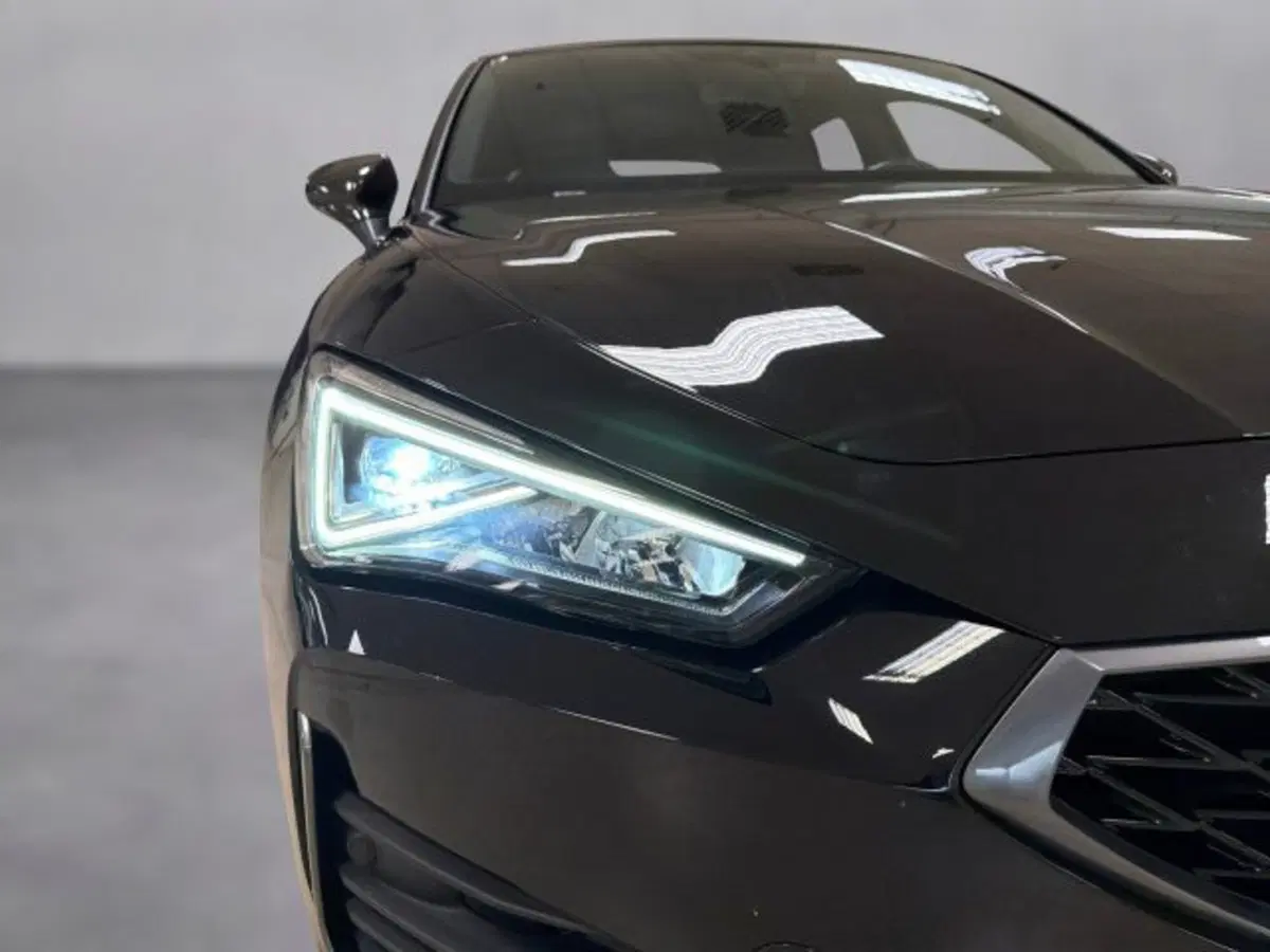 Cupra Leon usata a Vicenza (19)