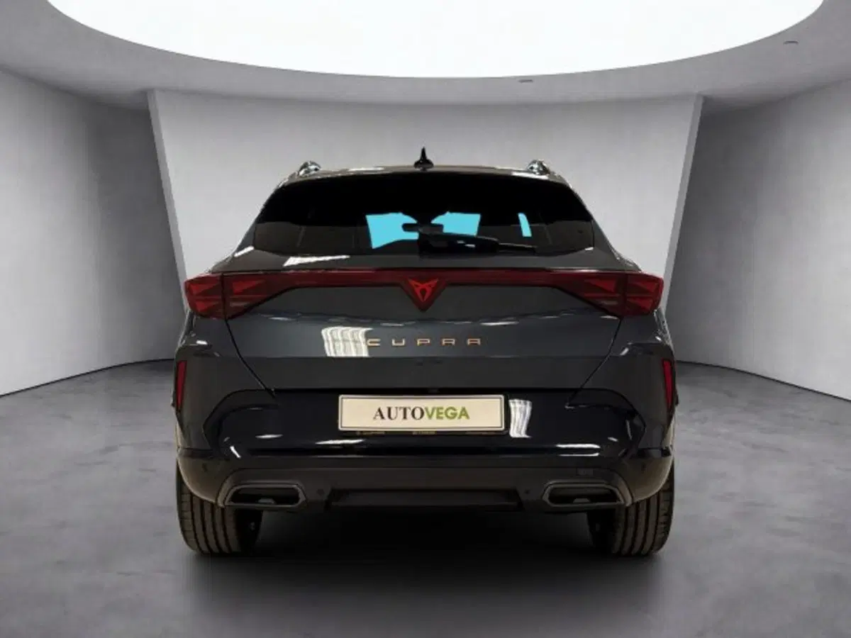 Cupra Formentor usata a Vicenza (5)