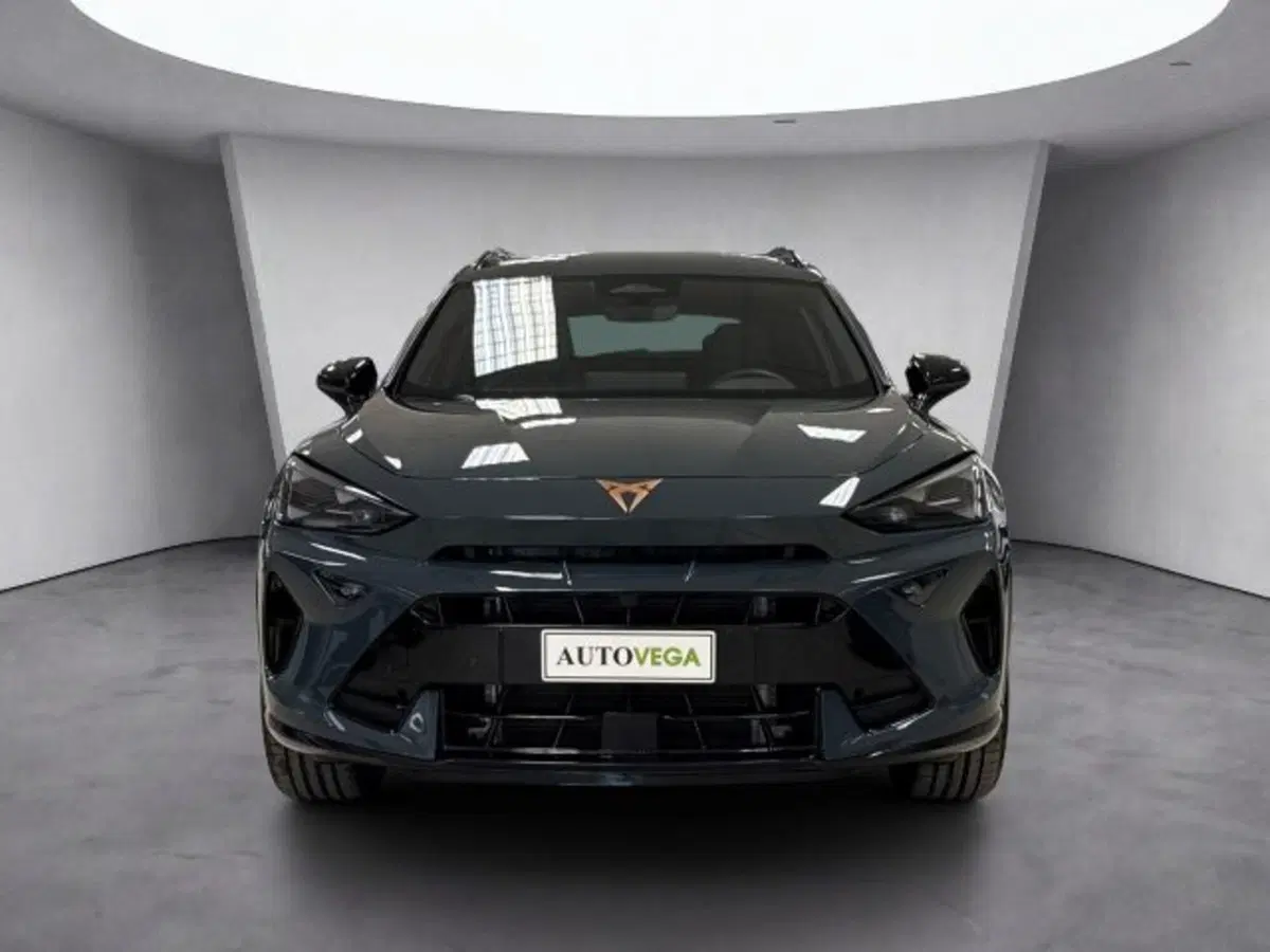 Cupra Formentor usata a Vicenza (2)