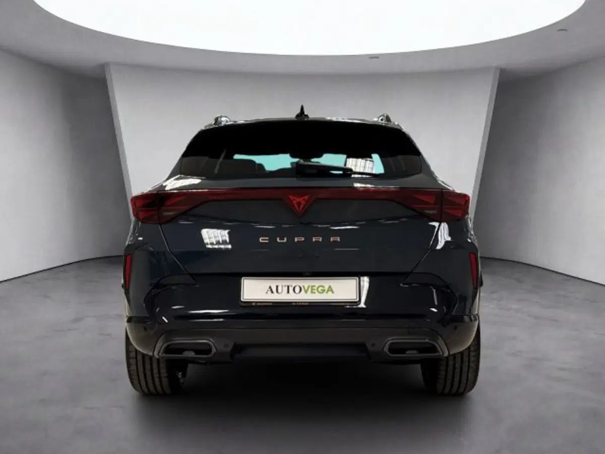 Cupra Formentor usata a Vicenza (5)
