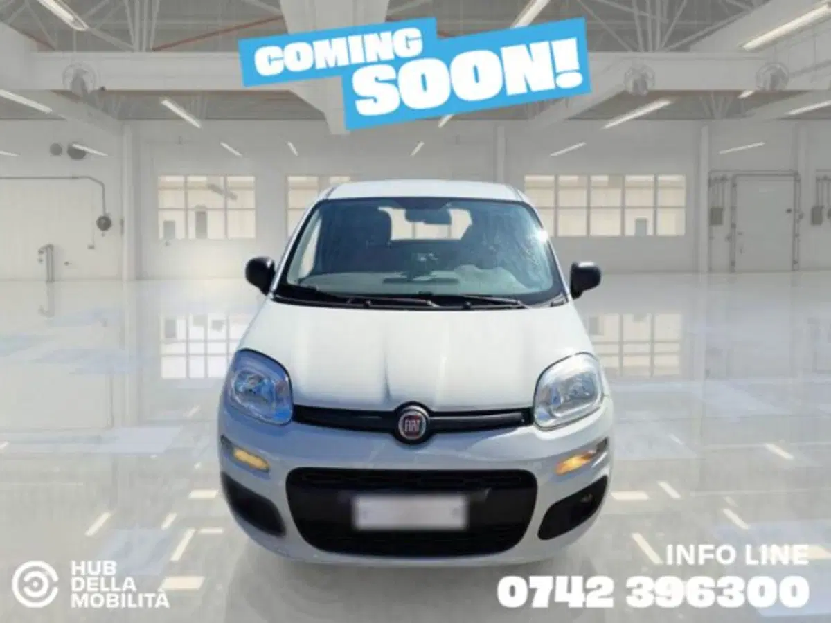 Fiat Panda usata a Perugia