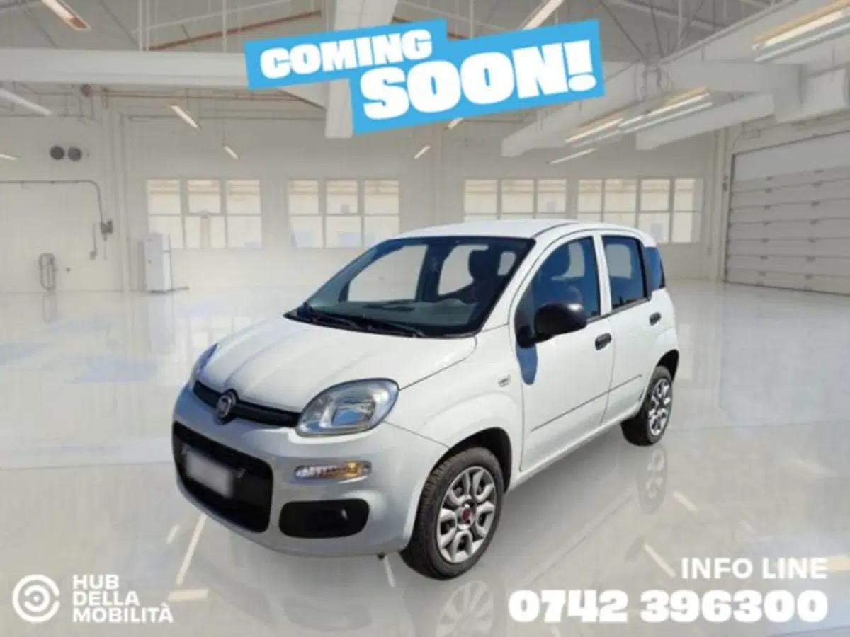 Fiat Panda usata a Perugia (2)