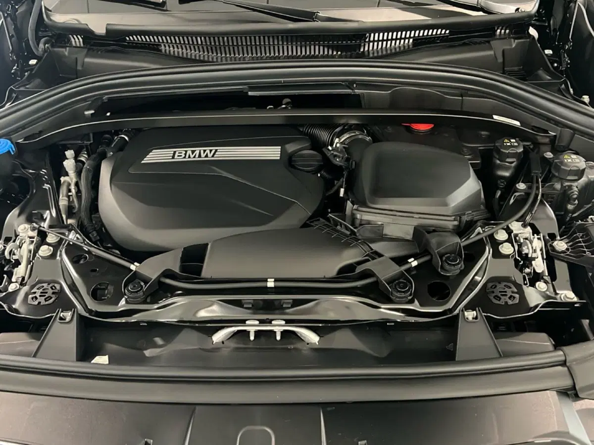 BMW X1 nuova a Torino (16)