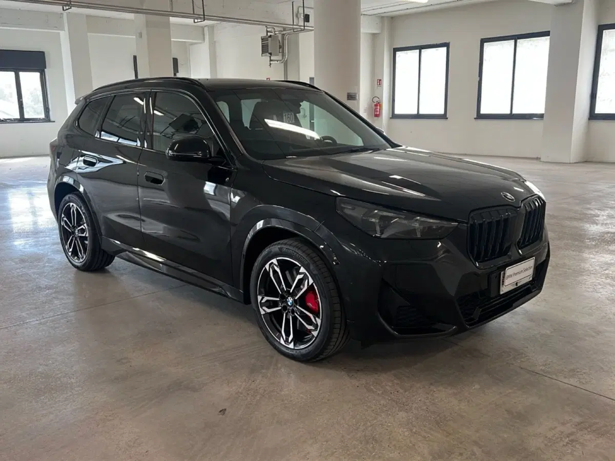 BMW X1 nuova a Torino (8)