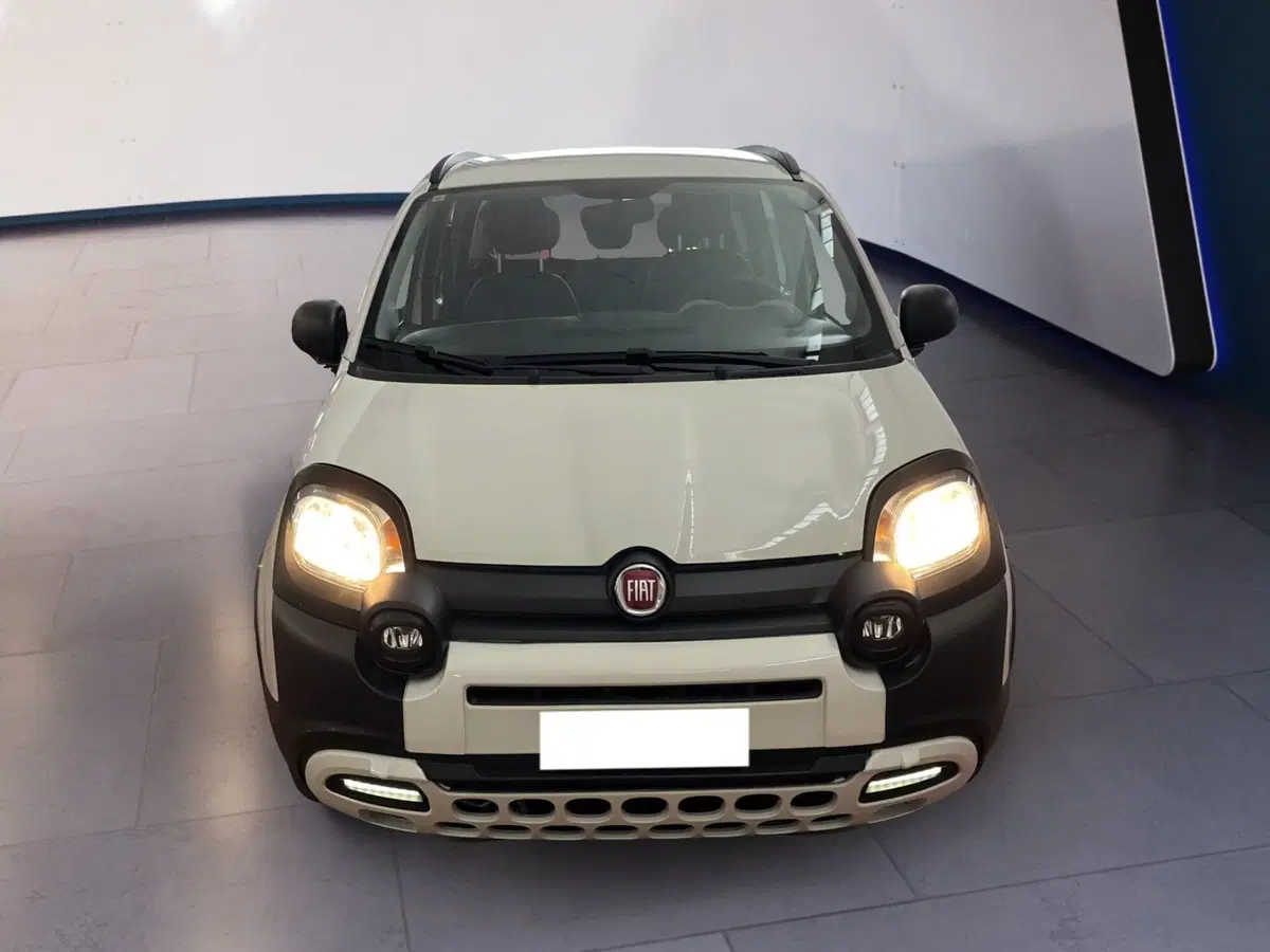 Fiat Panda usata a Torino