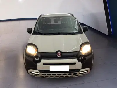 Fiat Panda 1.0 firefly hybrid s&s 70cv 5p.ti del 2022 usata a Torino