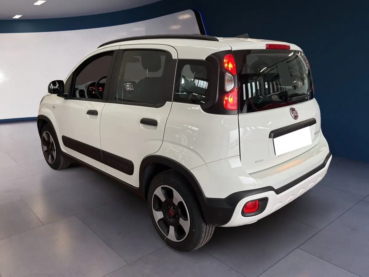 Fiat Panda usata a Torino (4)