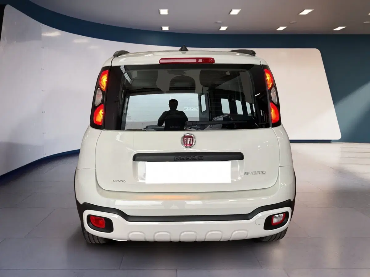 Fiat Panda usata a Torino (5)