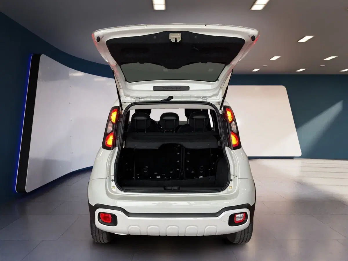Fiat Panda usata a Torino (7)