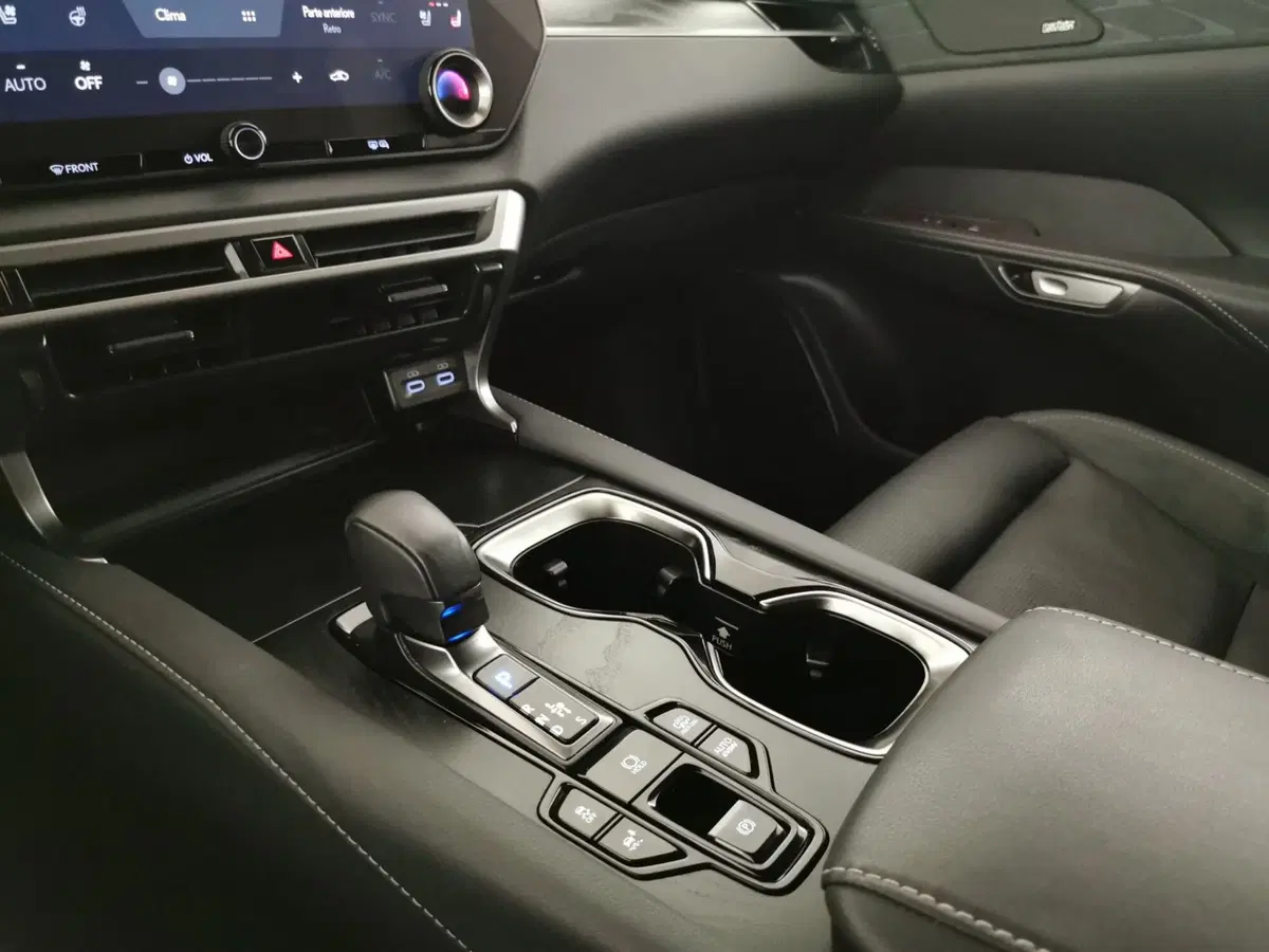 Lexus RX usata a Chieti (19)