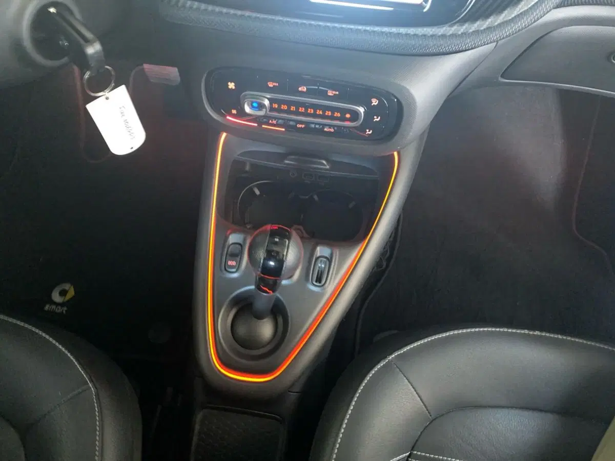 smart Fortwo usata a Bergamo (11)
