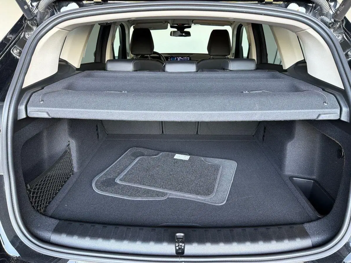 BMW X1 usata a Bergamo (16)