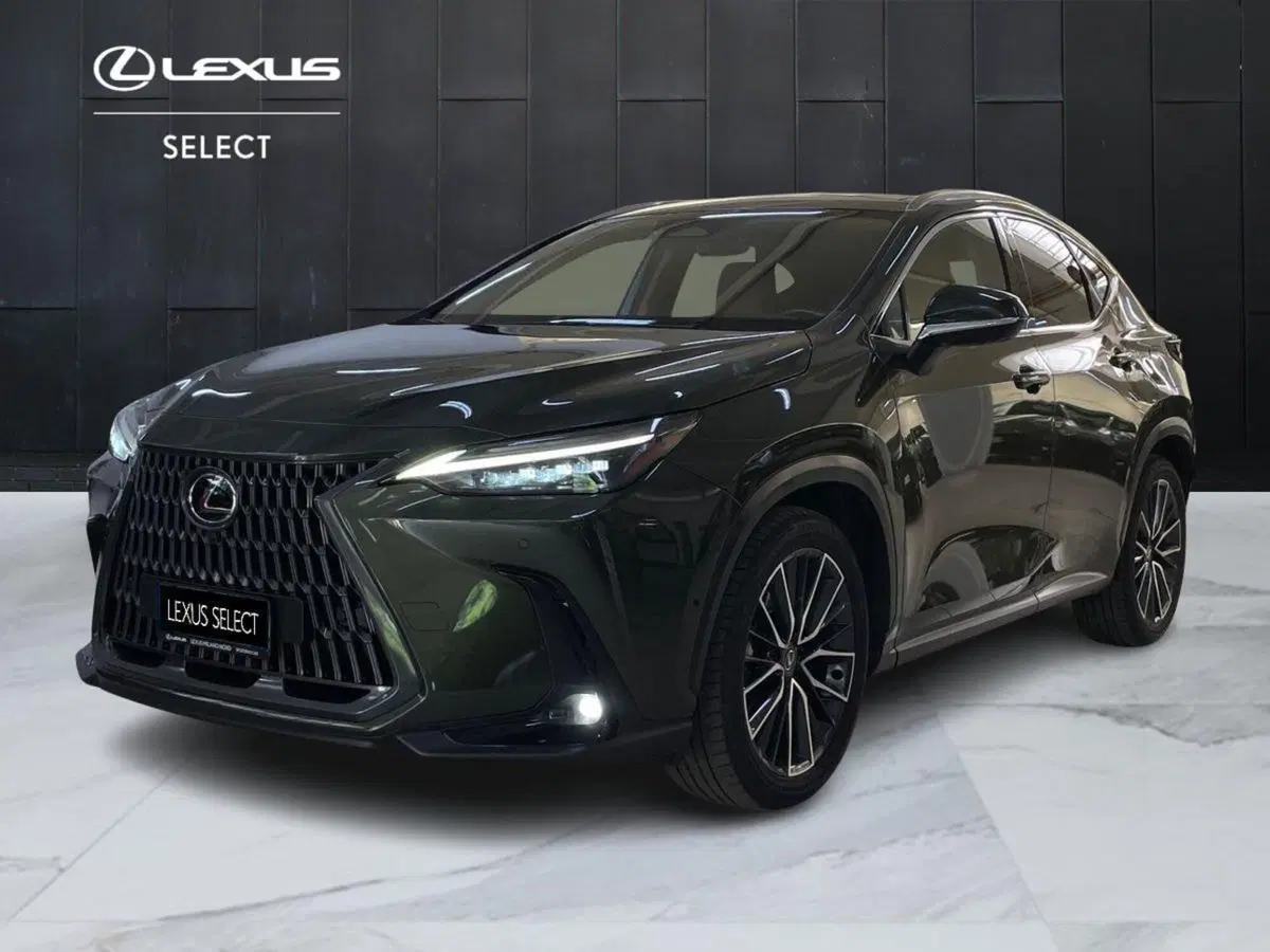 Lexus NX usata a Bologna