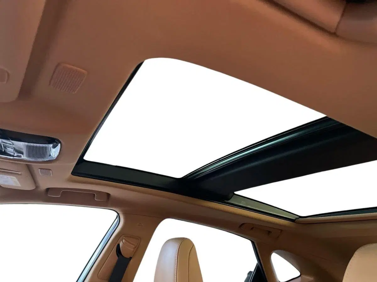 Lexus NX usata a Bologna (12)
