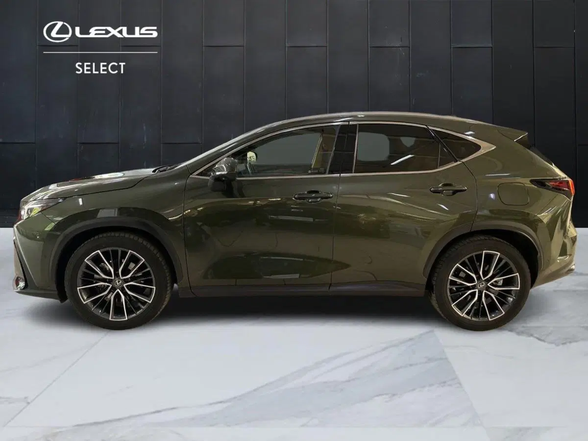 Lexus NX usata a Bologna (3)