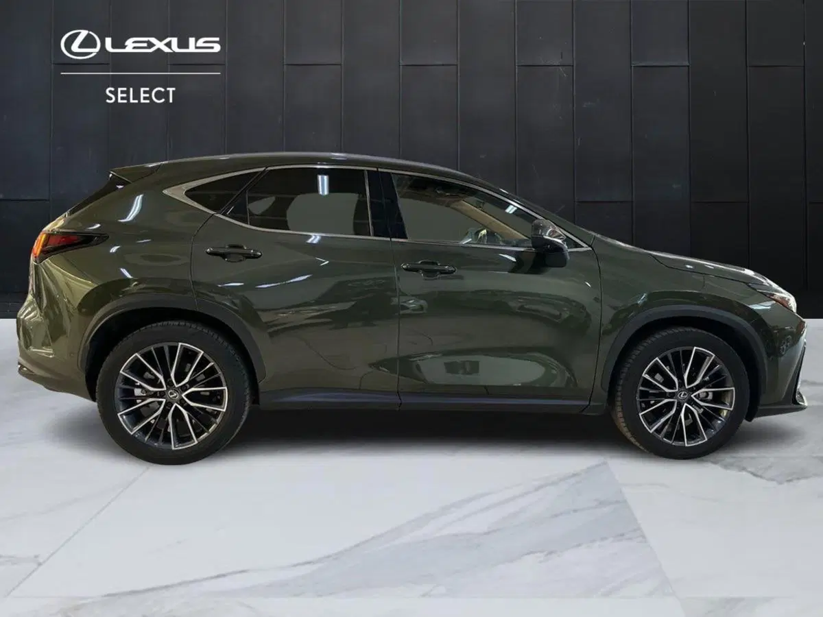 Lexus NX usata a Bologna (4)