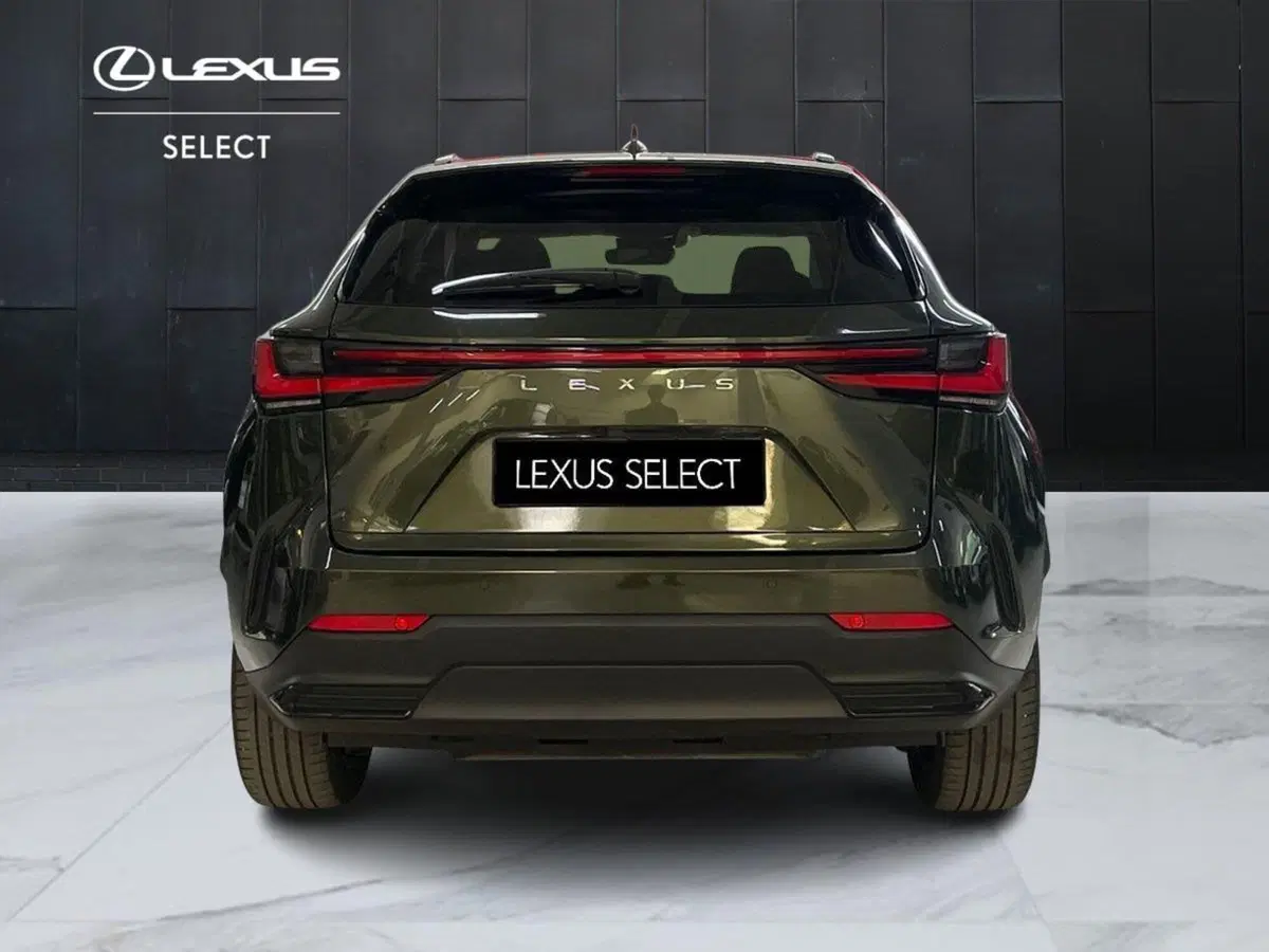 Lexus NX usata a Bologna (5)