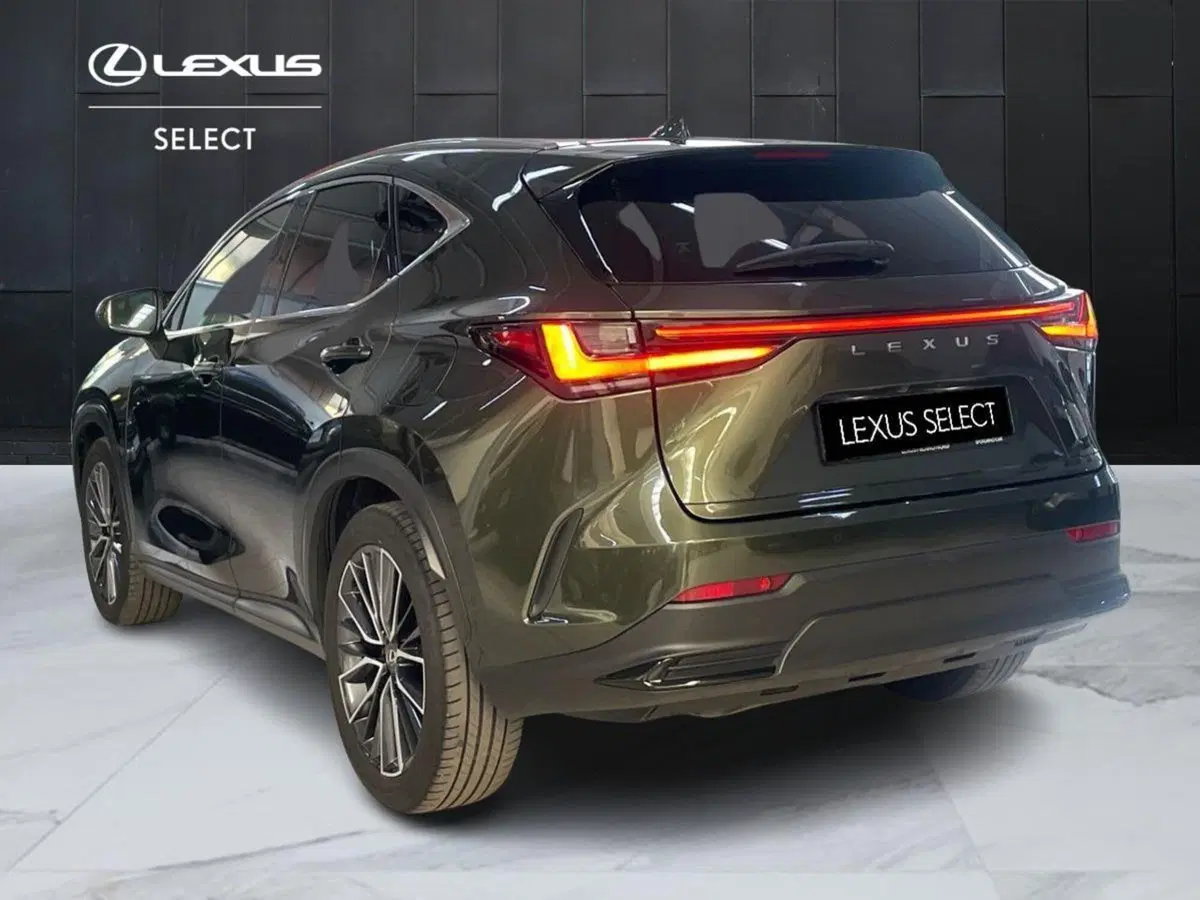 Lexus NX usata a Bologna (6)