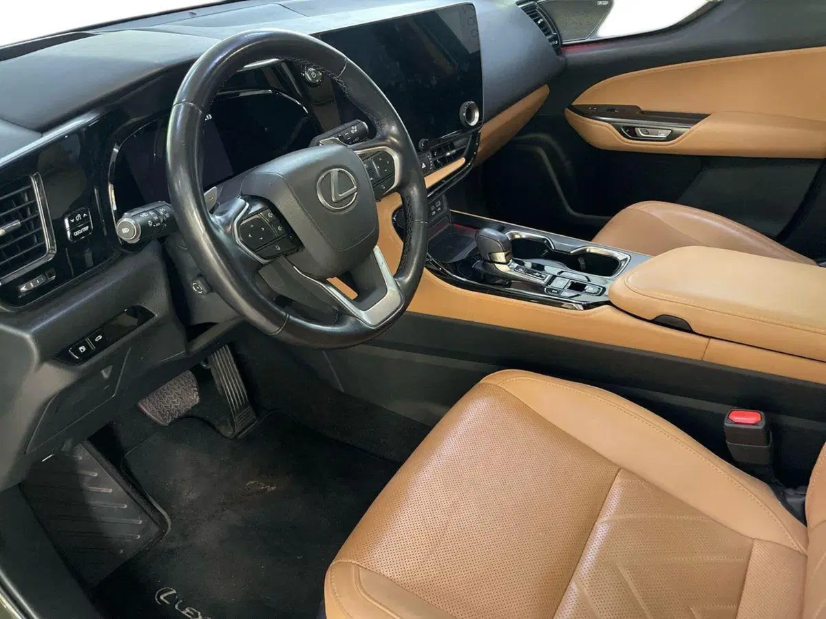 Lexus NX usata a Bologna (7)