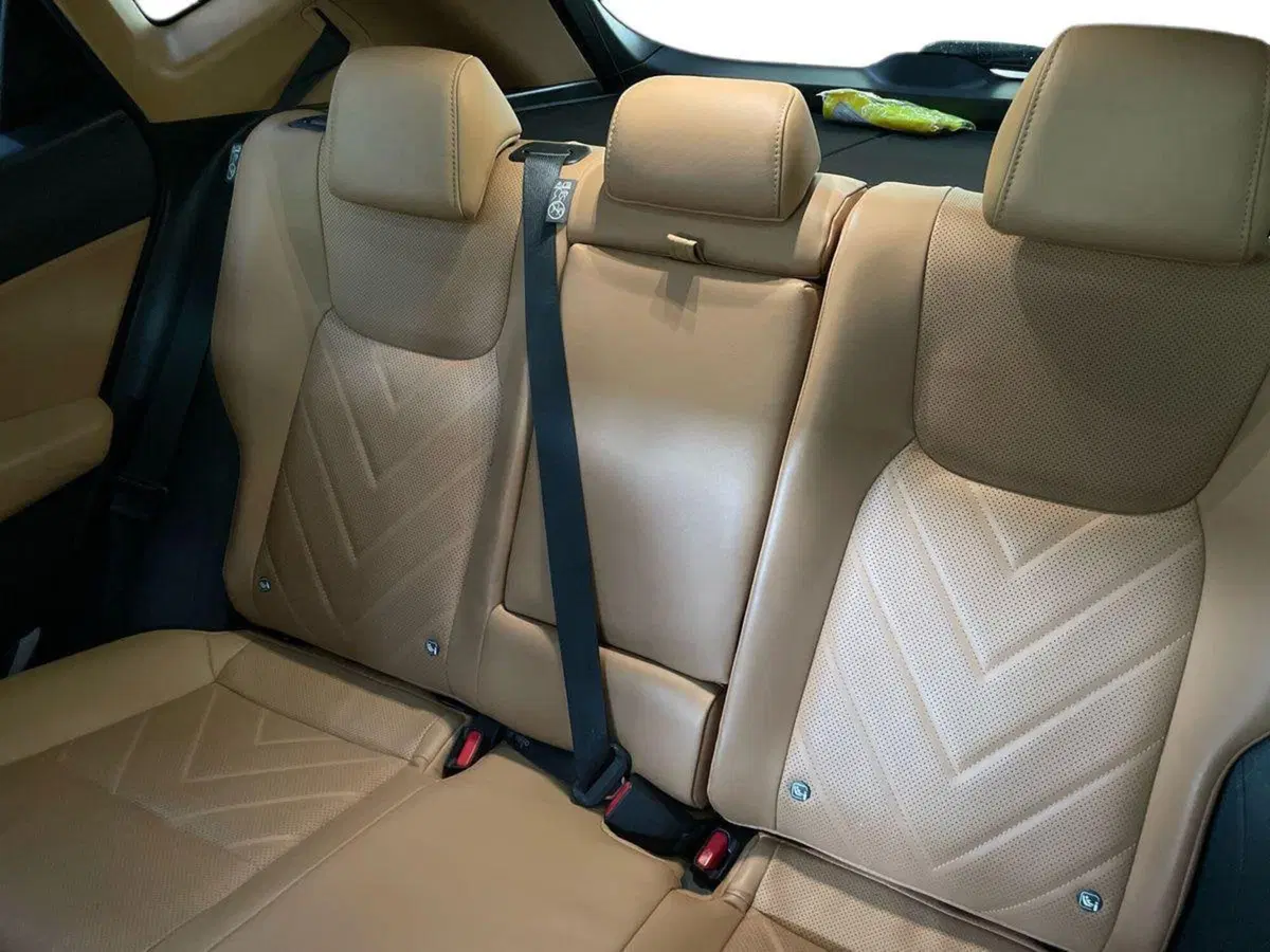 Lexus NX usata a Bologna (8)