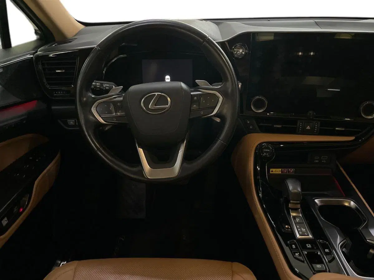 Lexus NX usata a Bologna (9)