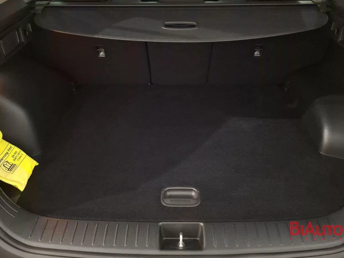 Kia Sportage usata a Firenze (5)