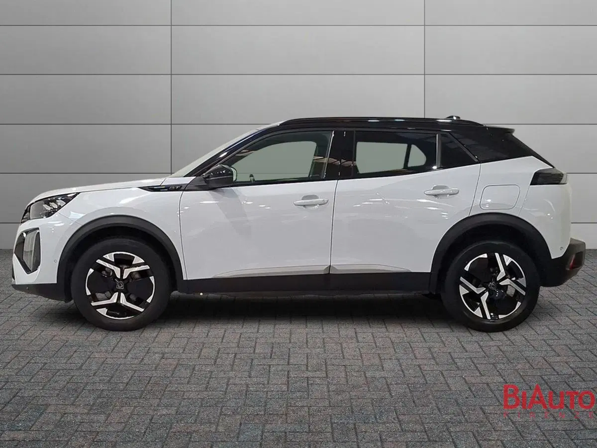 Peugeot 2008 usata a Firenze (2)