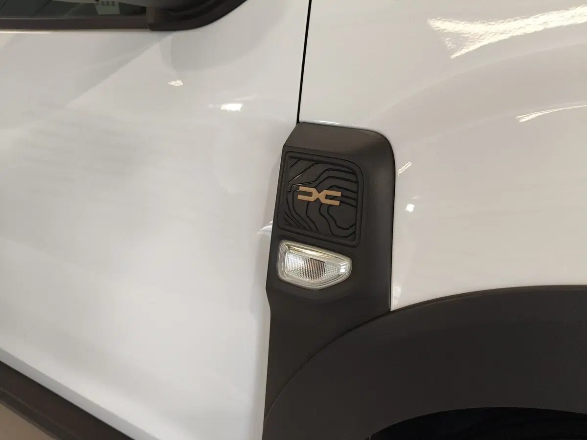 Dacia Duster usata a Brescia (18)