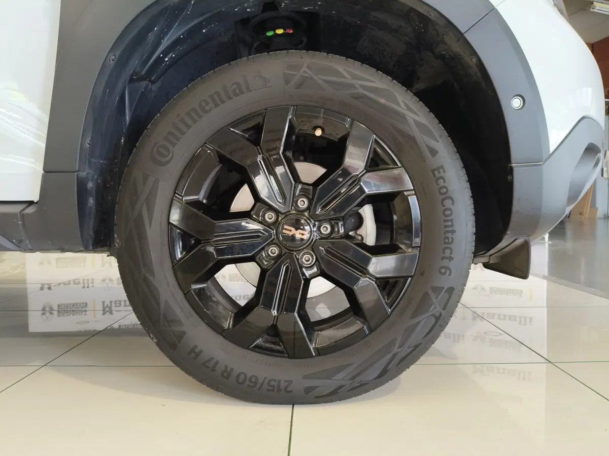 Dacia Duster usata a Brescia (8)