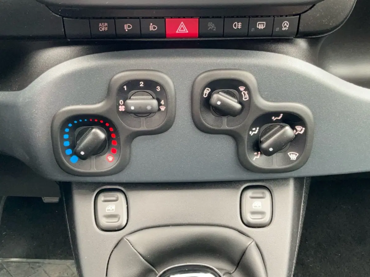 Fiat Panda Cross usata a Reggio Calabria (12)