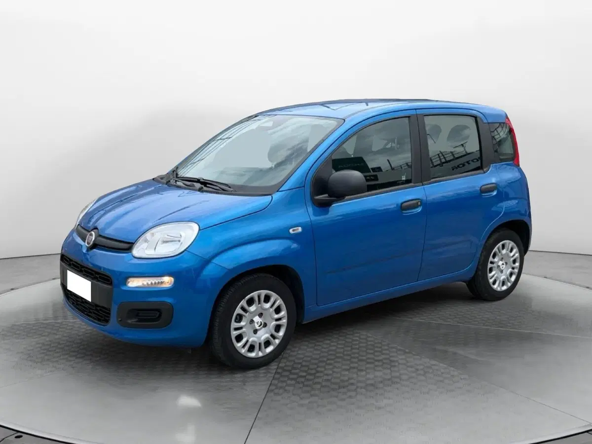 Fiat Panda Cross usata a Reggio Calabria (3)