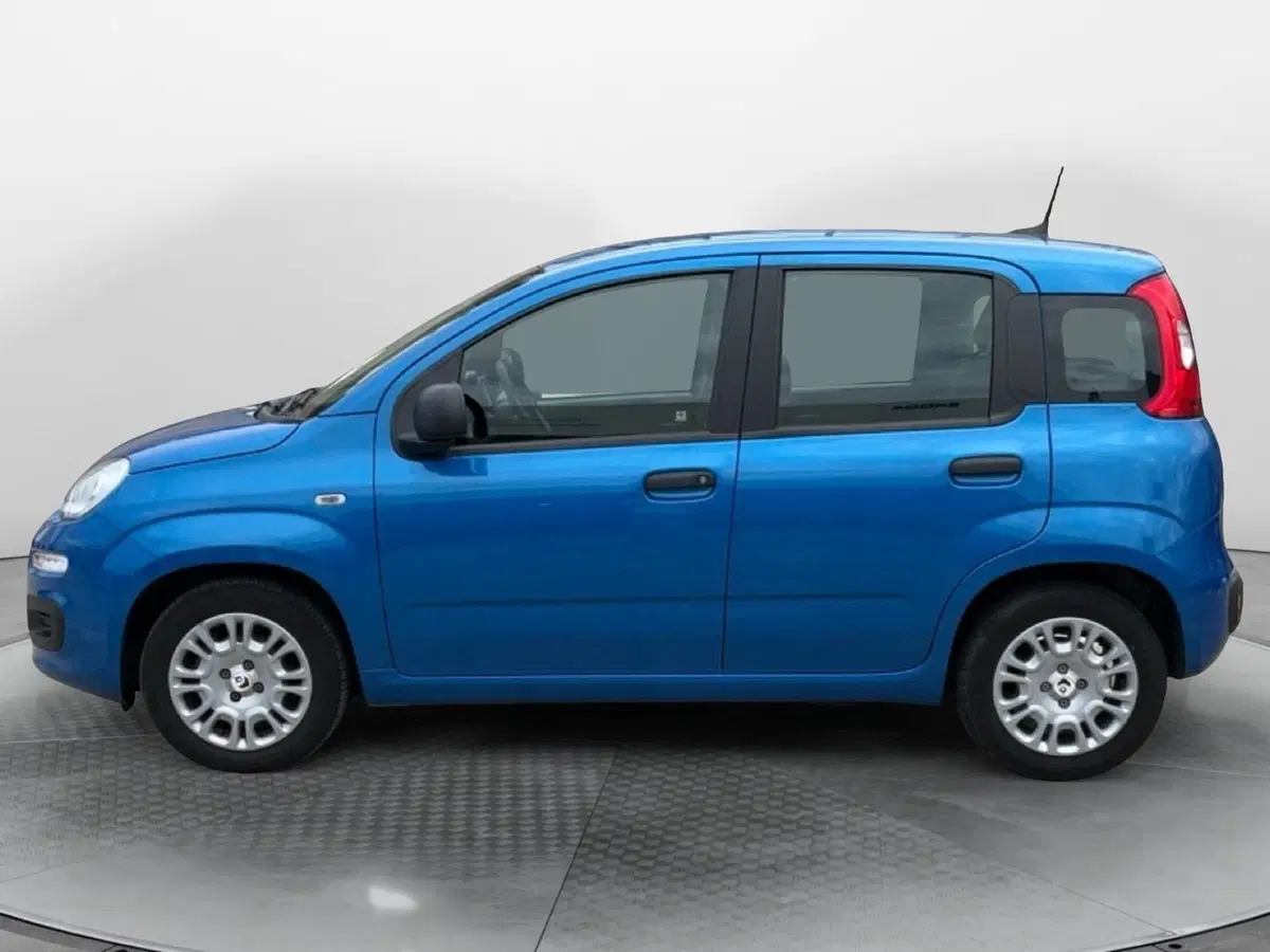 Fiat Panda Cross usata a Reggio Calabria (4)