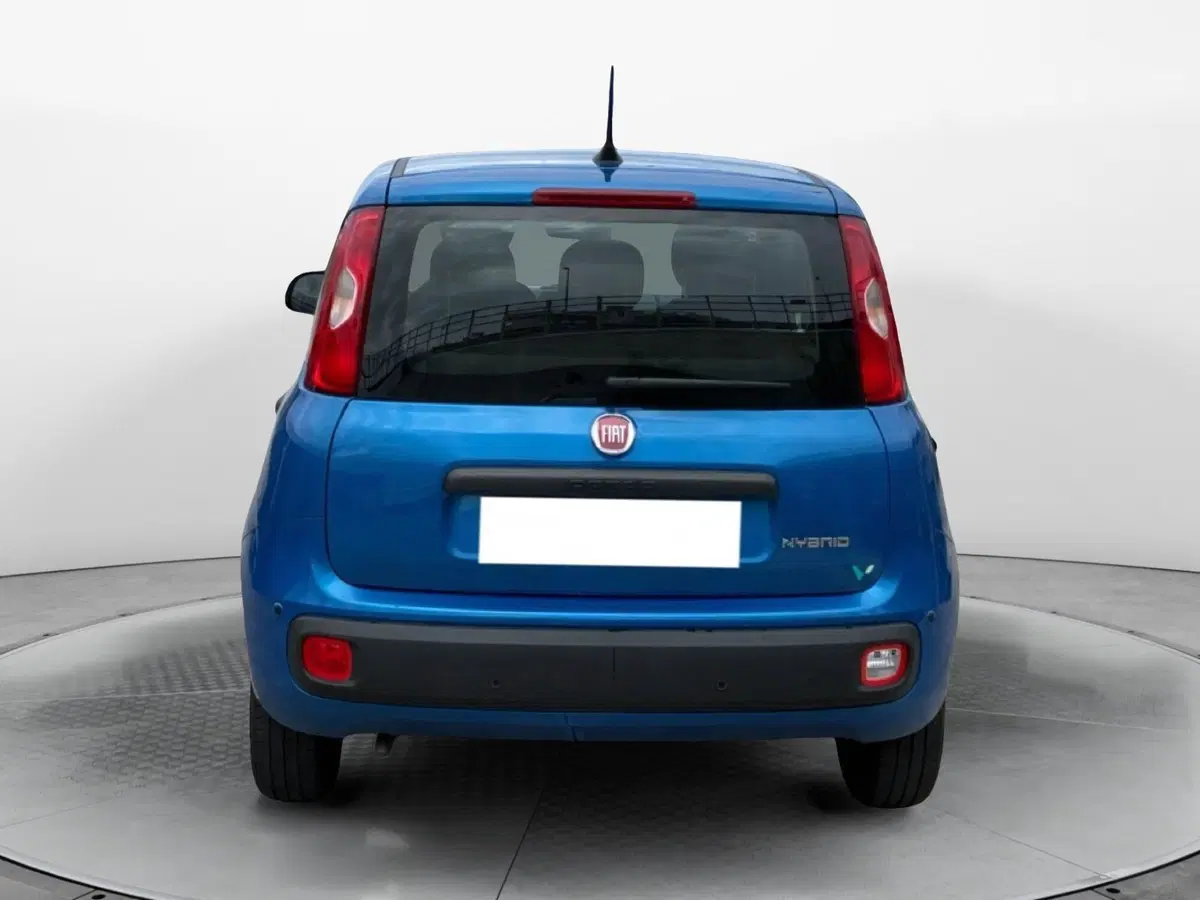 Fiat Panda Cross usata a Reggio Calabria (5)