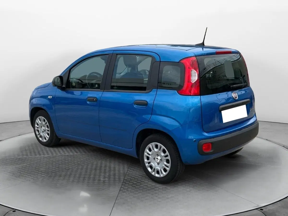 Fiat Panda Cross usata a Reggio Calabria (6)
