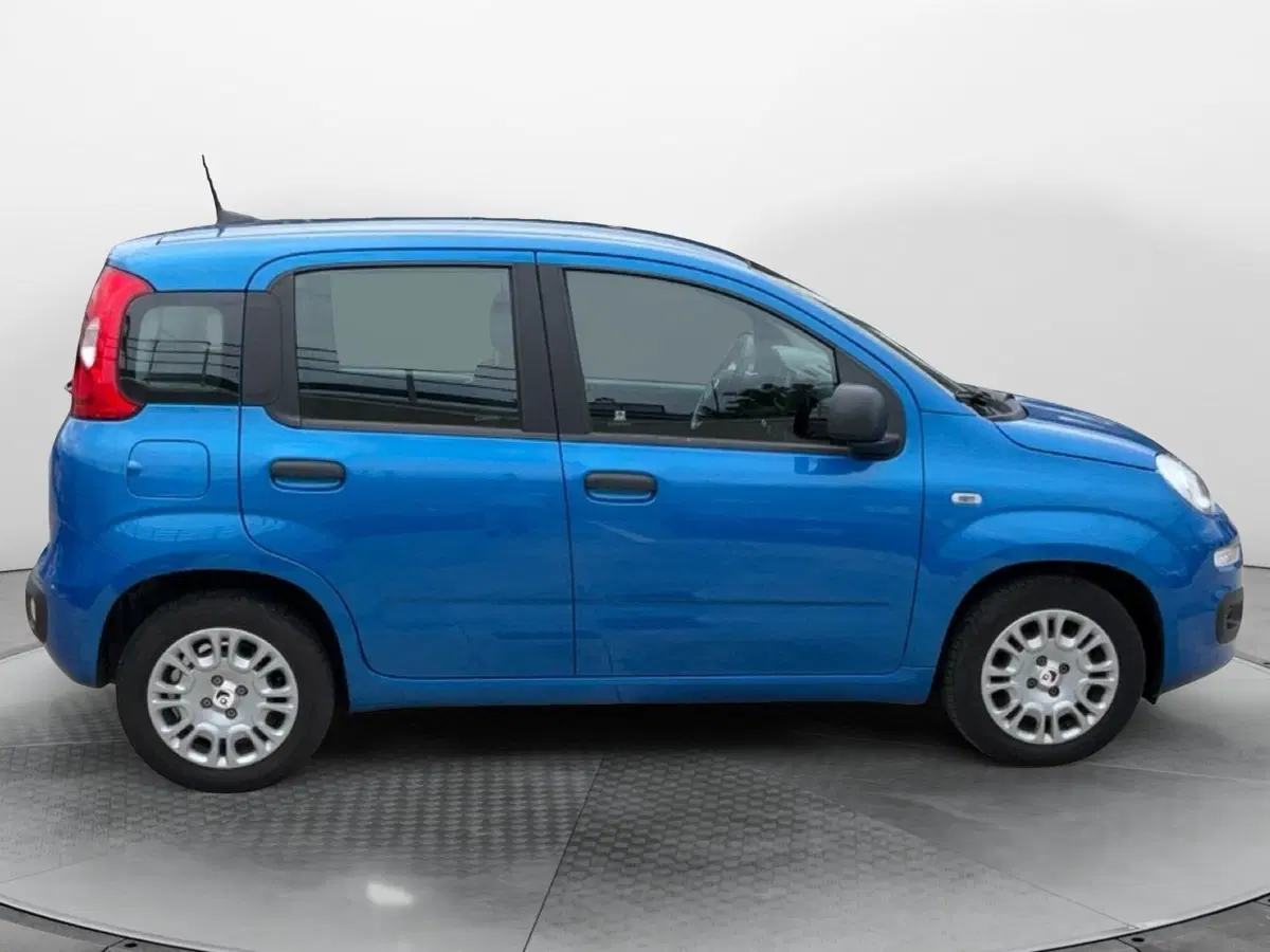 Fiat Panda Cross usata a Reggio Calabria (7)