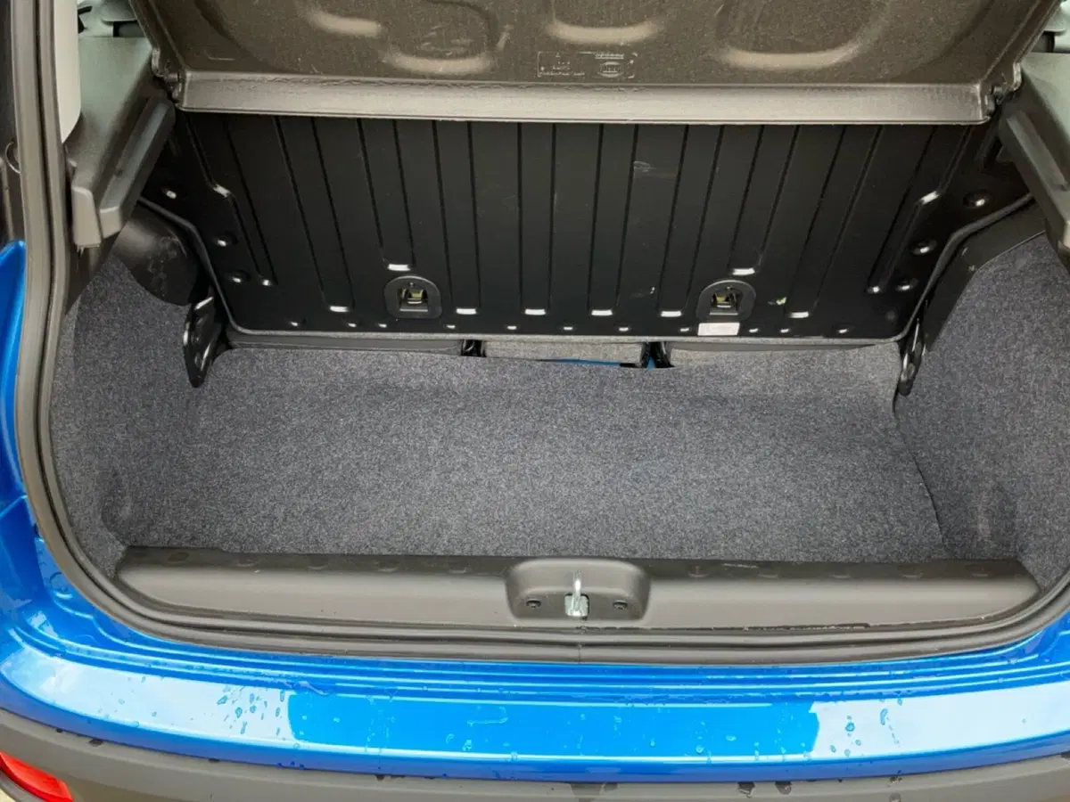 Fiat Panda Cross usata a Reggio Calabria (9)