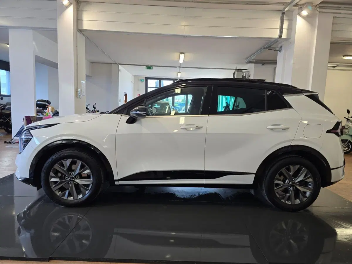 Kia Sportage usata a Rimini (8)